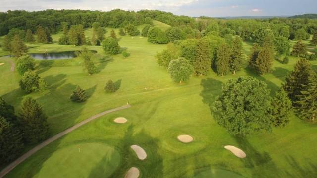 Raccoon International